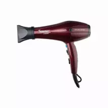 سشوار حرفه ای پرنسلی مدل PR250AT